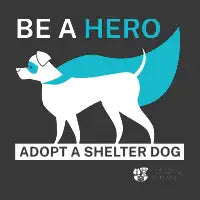 Hero: Dog - design
