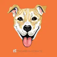 Odie - design