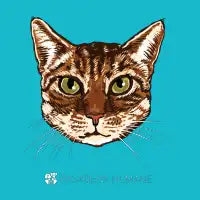 ScratchyCat - design