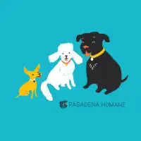 Yappy Hour - design
