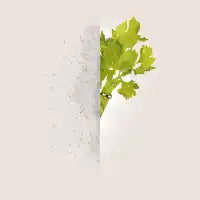 Celery Stalker - design