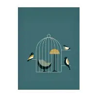 Bird Cage - design