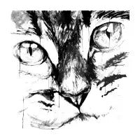 cat face - design