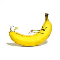 Banana Sock - design