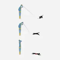 Cyclops' Cat - design
