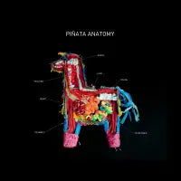 Piñata Anatomy - design