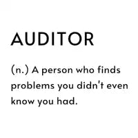 Auditor Definition - design