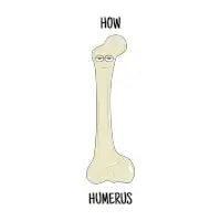 How Humerus - design