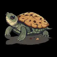 Turtle Cookies - design