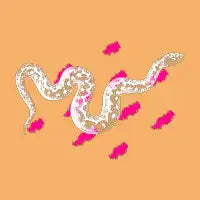 Snake - design