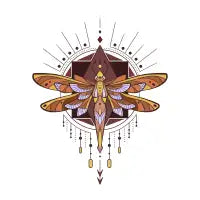 Dragonfly - design