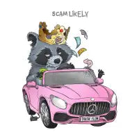 Scam Likely - design