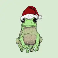 Christmas Frog - design