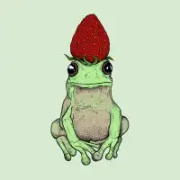 Frog With A Strawberry Hat - design