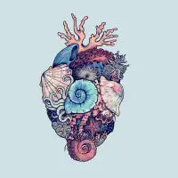 Ocean Heart - design