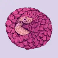 Pink Pangolin - design