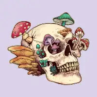 Skull And Mushrooms - design
