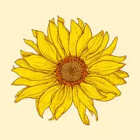 Sunflower - design