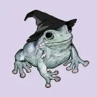 Witchy Frog - design