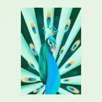 Colourful Peacock Fine Art Print - design