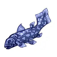 Blue Coelacanth - design