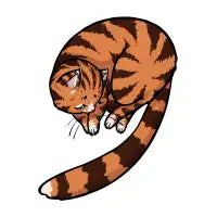 Brown Tabby - design