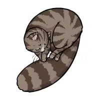 Grey Tabby - design