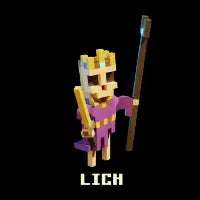 Voxel Adventures (Undead) - Lich - design