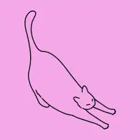big stretch - design