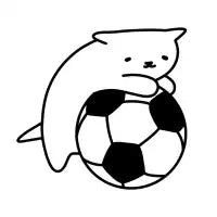 football cat - design