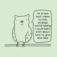 meowl - design