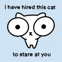 staring cat - design