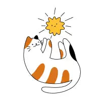The cat and the star - design