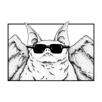 A bat, a cool bat - design