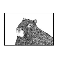 A Capybara - design