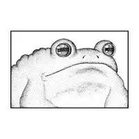 A frog - design