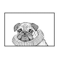A pug - design