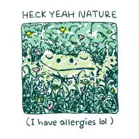 Allergy frog - design