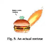 An actual meteor frog on a burger - design