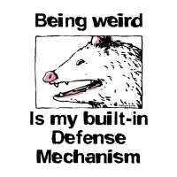 Being weird is my built-in defense mechanism opossum 2 - design