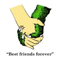 Best Friends Forever - design