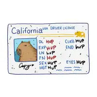 Capybara's California driver's license - design