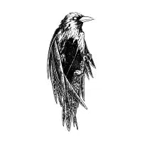 Crow cosmos - design
