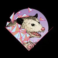 Geometric Opossum - design