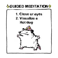 Guided meditation hot dog opossum - design