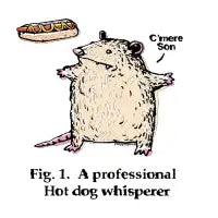 Hot Dog Whisperer Opossum - design