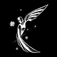 Icarus - design