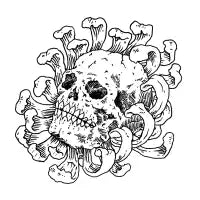 In bloom - design