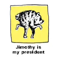 Jimothy is my president raccoon - design