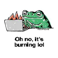 Oh no, It's burning LOL frog - design